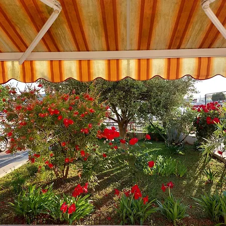 Jema トロギール