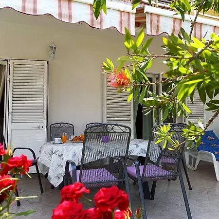 Jema * トロギール